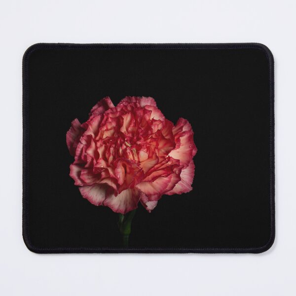 Item preview, Carnation Dreams  designed and sold by Nicole_Munday_Photography.