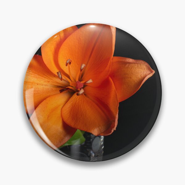 Artikelvorschau, Orangenlilie entworfen und verkauft von Nicole_Munday_Photography.