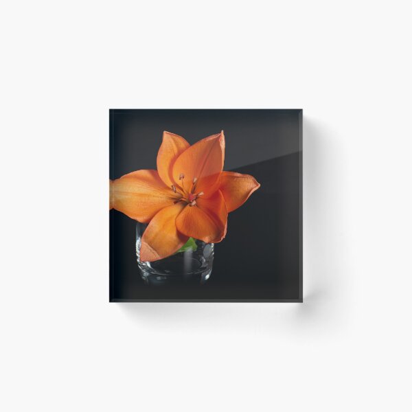 Item preview, Lily of the Orange  designed and sold by Nicole_Munday_Photography.