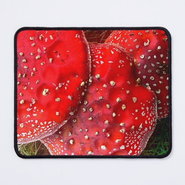 Item preview, They look good to EAT  ??>>  POIsonous designed and sold by Larry Davis.