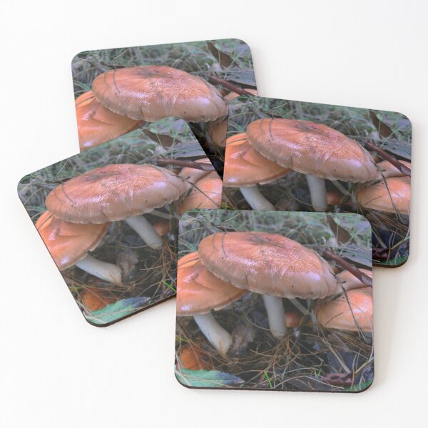 Item preview, Frequenting as a Brown Top designed and sold by Larry Davis.