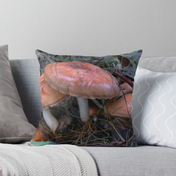 Item preview, Frequenting as a Brown Top designed and sold by Larry Davis.