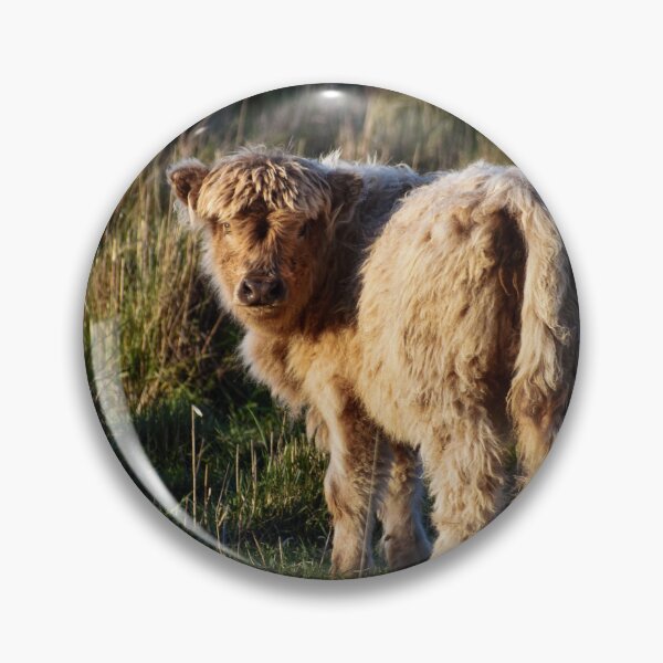 Item preview, Fluffy Baby Highland Cow designed and sold by Nicole_Munday_Photography.