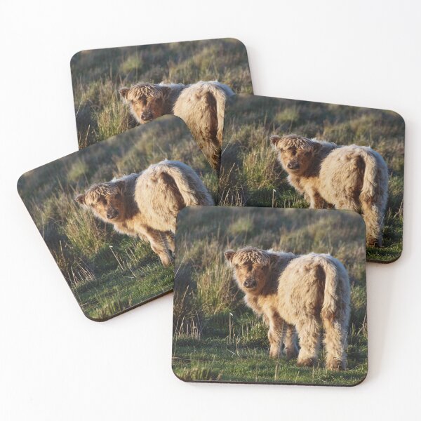 Item preview, Fluffy Baby Highland Cow designed and sold by Nicole_Munday_Photography.