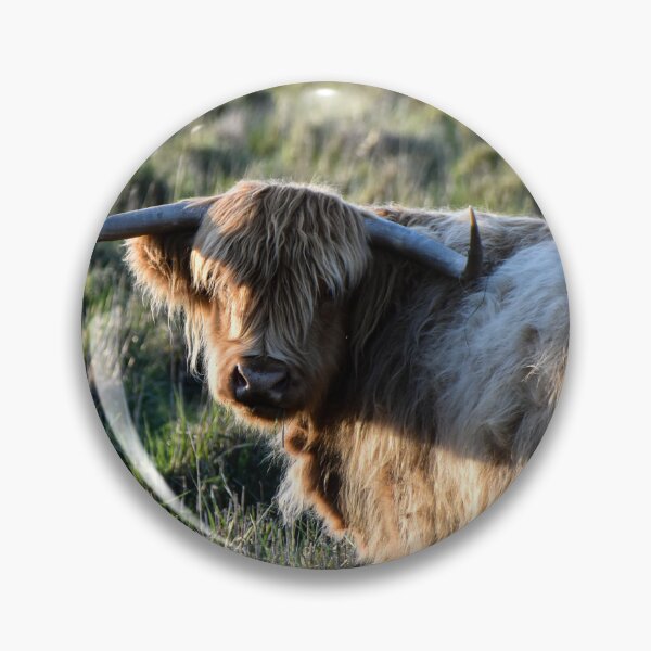Item preview, Highland Cow designed and sold by Nicole_Munday_Photography.