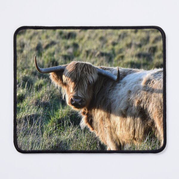 Item preview, Highland Cow designed and sold by Nicole_Munday_Photography.