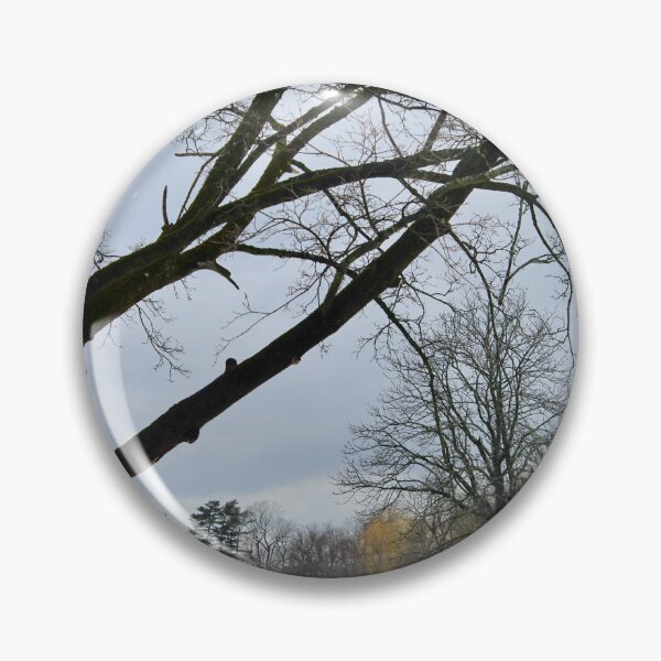 Item preview, Stillness beneath the Branches designed and sold by recoveringartist.