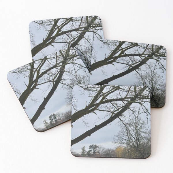 Item preview, Stillness beneath the Branches designed and sold by recoveringartist.