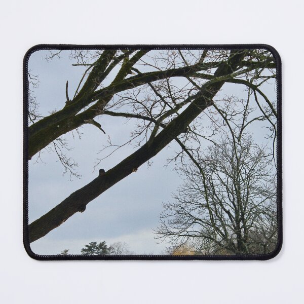 Item preview, Stillness beneath the Branches designed and sold by recoveringartist.