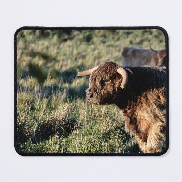 Item preview, Highland Cow designed and sold by Nicole_Munday_Photography.