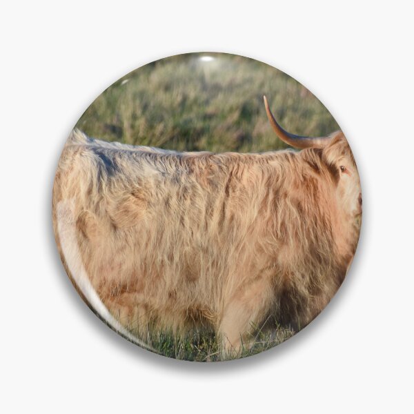 Item preview, Highland Cow designed and sold by Nicole_Munday_Photography.