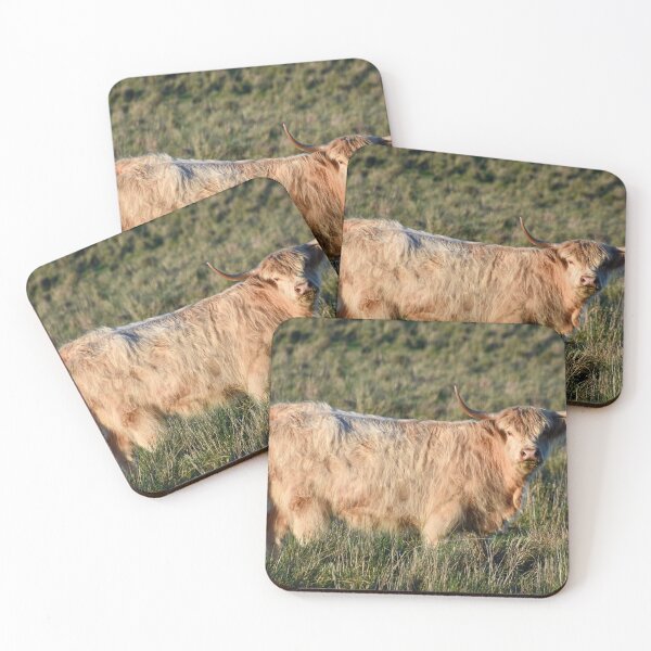 Item preview, Highland Cow designed and sold by Nicole_Munday_Photography.