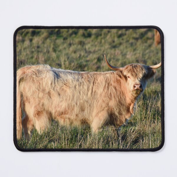 Item preview, Highland Cow designed and sold by Nicole_Munday_Photography.