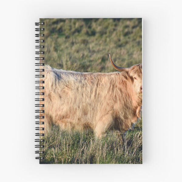 Item preview, Highland Cow designed and sold by Nicole_Munday_Photography.