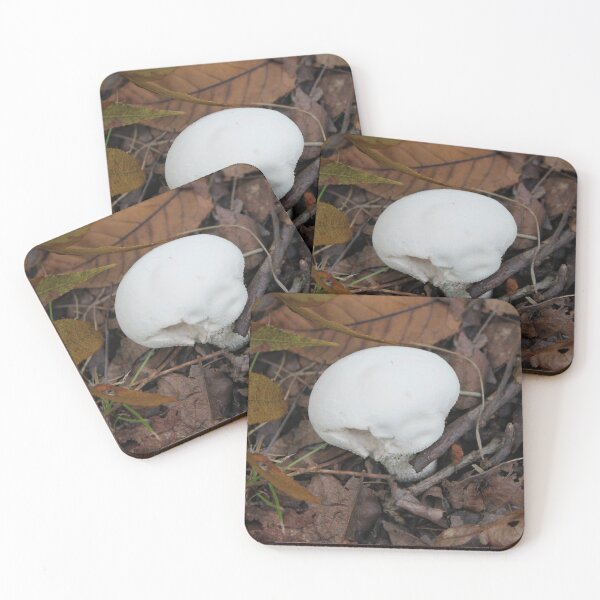 Item preview, Woodland Gem: The White Puffball designed and sold by Blossom-Breeze.