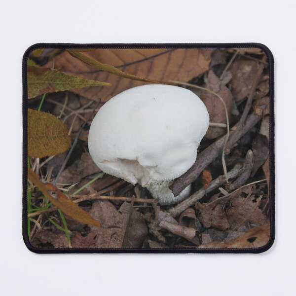 Item preview, Woodland Gem: The White Puffball designed and sold by Blossom-Breeze.