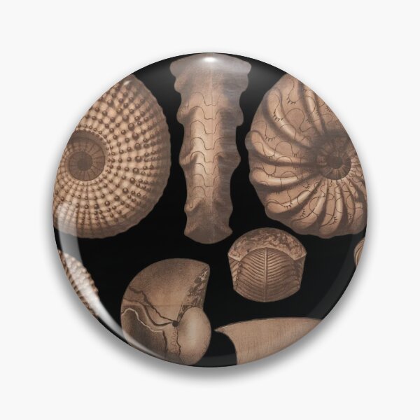 Item preview, Fossil Elegance: Mollusca Collection designed and sold by goldcov.