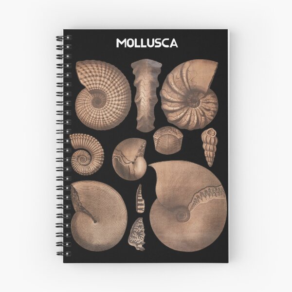 Item preview, Fossil Elegance: Mollusca Collection designed and sold by goldcov.