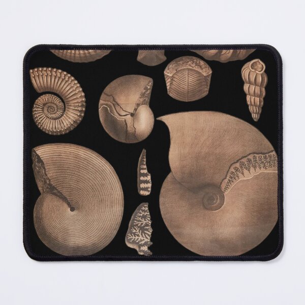 Item preview, Fossil Elegance: Mollusca Collection designed and sold by goldcov.