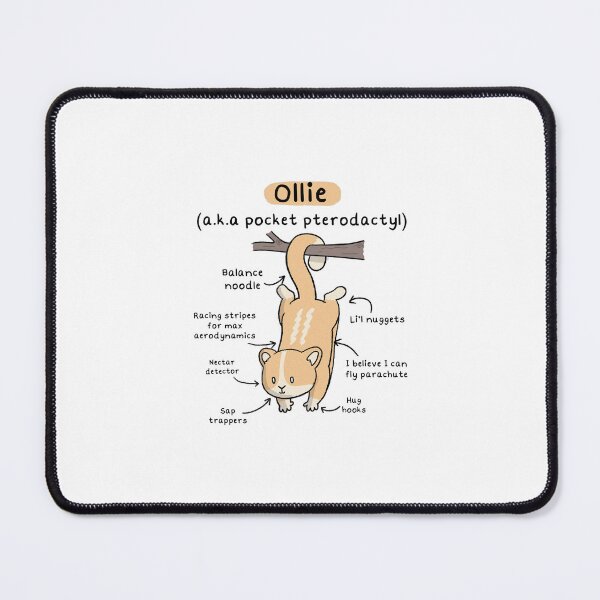 Item preview, Ollie the glider designed and sold by Everwhen.art.