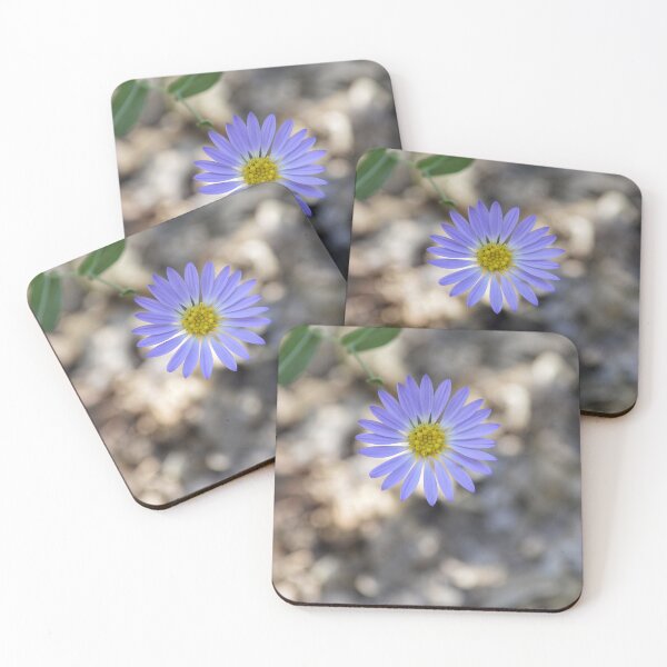 Item preview, Blue Aster Wildflower Macro Photography designed and sold by Blossom-Breeze.