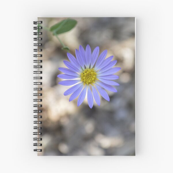 Item preview, Blue Aster Wildflower Macro Photography designed and sold by Blossom-Breeze.