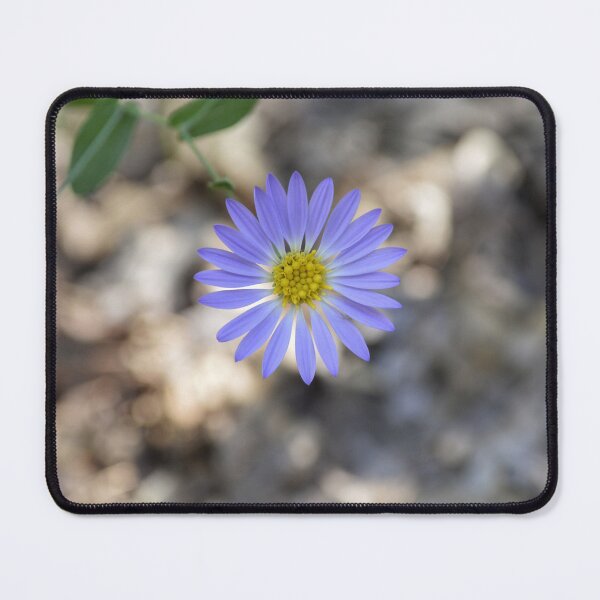 Item preview, Blue Aster Wildflower Macro Photography designed and sold by Blossom-Breeze.