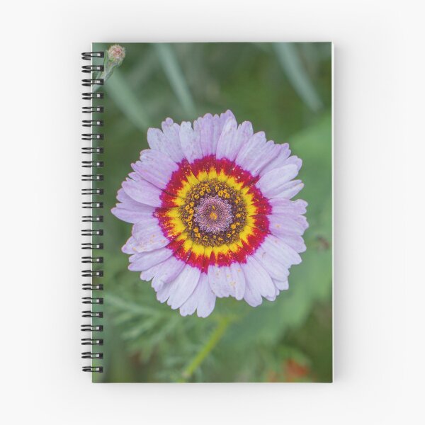 Artikelvorschau, Mandala-Blume entworfen und verkauft von beenplanted.