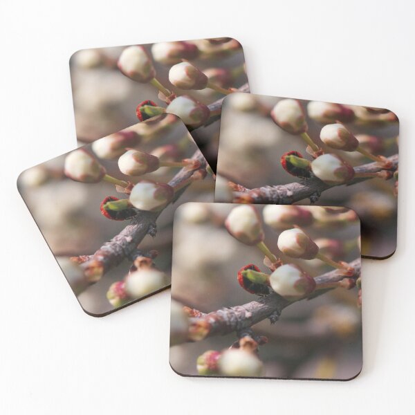Item preview, Ladybug on Spring Fruit Tree Buds Macro designed and sold by vikko-art.