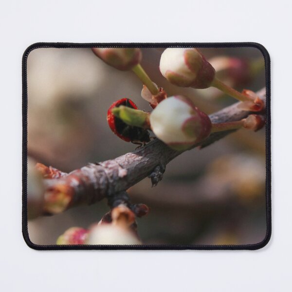 Item preview, Ladybug on Spring Fruit Tree Buds Macro designed and sold by vikko-art.