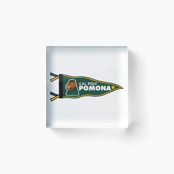 Item preview, Cal Poly Pomona Broncos Vintage College Pennant designed and sold by mjmcb.