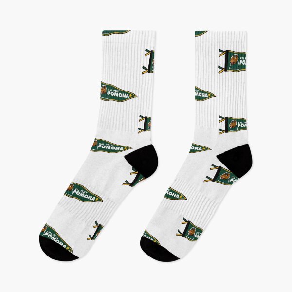 Item preview, Cal Poly Pomona Broncos Vintage College Pennant designed and sold by mjmcb.