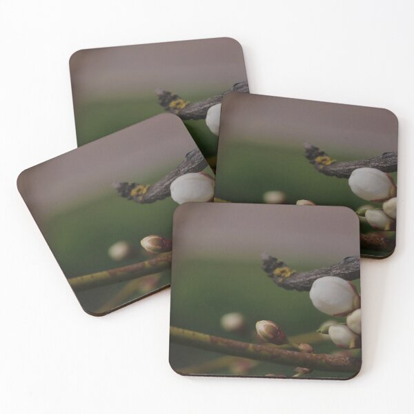 Item preview, White Fruit Tree Buds in Early Spring Garden Macro designed and sold by vikko-art.