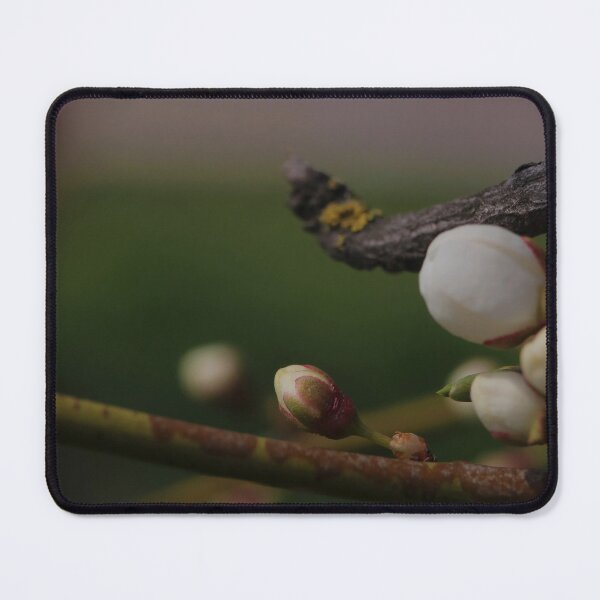 Item preview, White Fruit Tree Buds in Early Spring Garden Macro designed and sold by vikko-art.