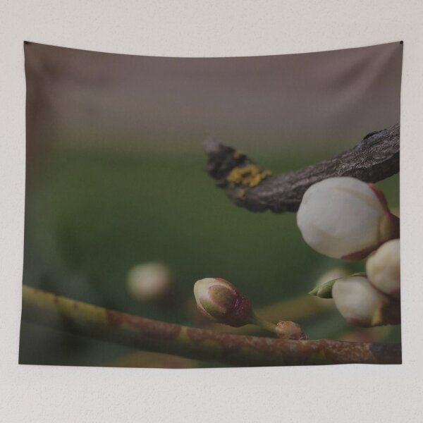 Item preview, White Fruit Tree Buds in Early Spring Garden Macro designed and sold by vikko-art.