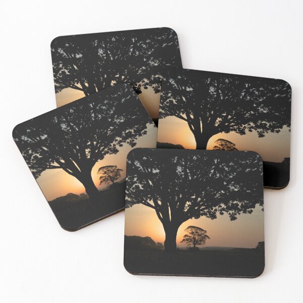 Item preview, First Light designed and sold by Stephen Baird Photos.