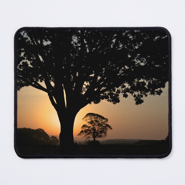 Item preview, First Light designed and sold by Stephen Baird Photos.
