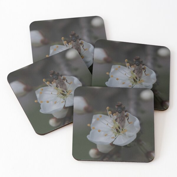 Item preview, Hoverfly on White Fruit Tree Flower Macro designed and sold by vikko-art.