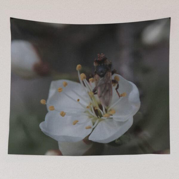 Item preview, Hoverfly on White Fruit Tree Flower Macro designed and sold by vikko-art.