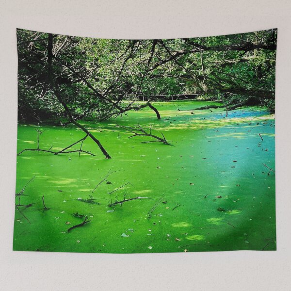 Item preview, Swampy designed and sold by Stephen Baird Photos.