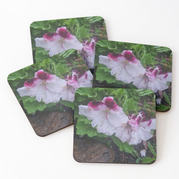 Item preview, Pelargonium designed and sold by BrittanyWilton.