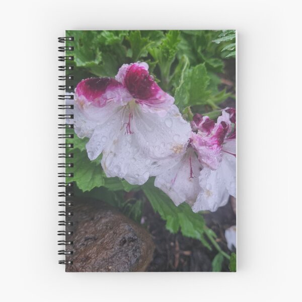 Item preview, Pelargonium designed and sold by BrittanyWilton.