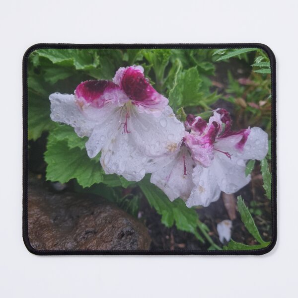 Item preview, Pelargonium designed and sold by BrittanyWilton.