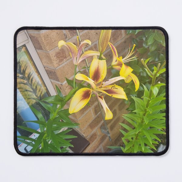 Item preview, Lillium designed and sold by BrittanyWilton.