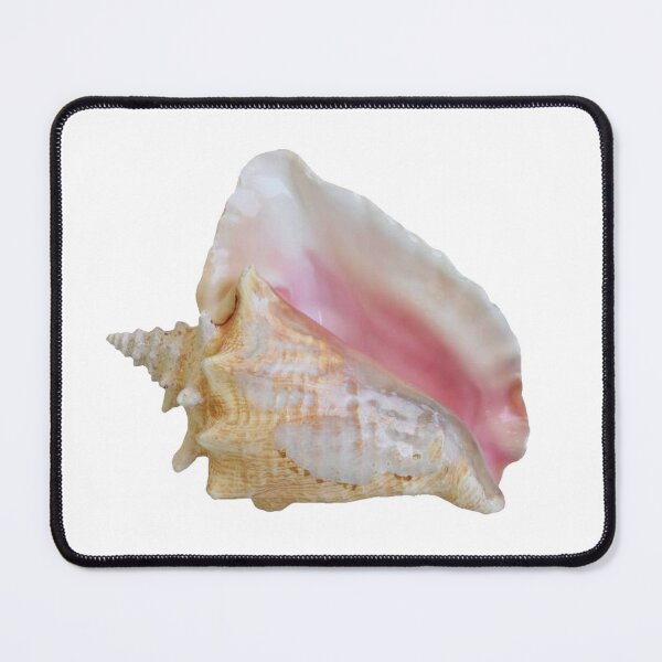 Item preview, conch shell it girl star girl sticker designed and sold by inainart.