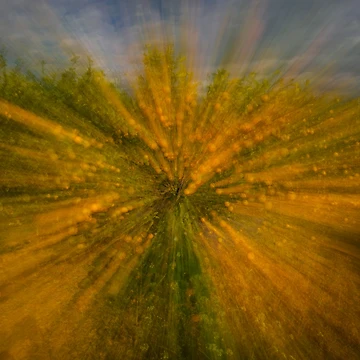 Artwork thumbnail, Citrus Burst by Ralph Goldsmith