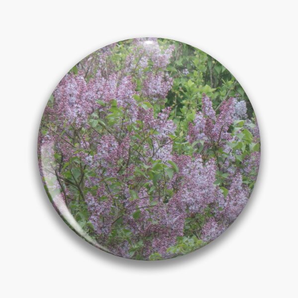 Item preview, Lilac bushes in full bloom designed and sold by Betulek.