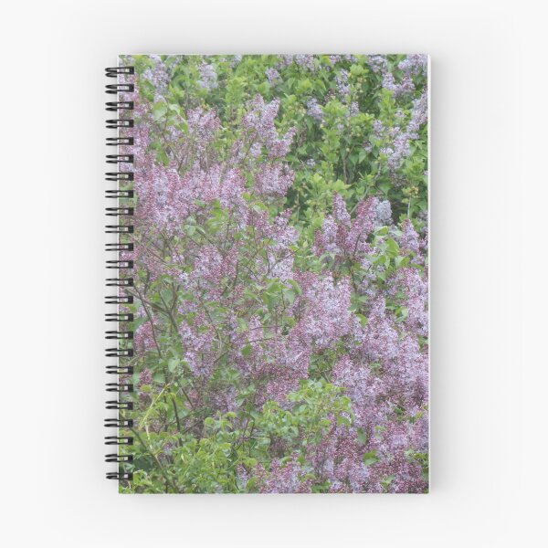 Item preview, Lilac bushes in full bloom designed and sold by Betulek.