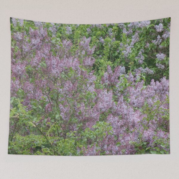 Item preview, Lilac bushes in full bloom designed and sold by Betulek.