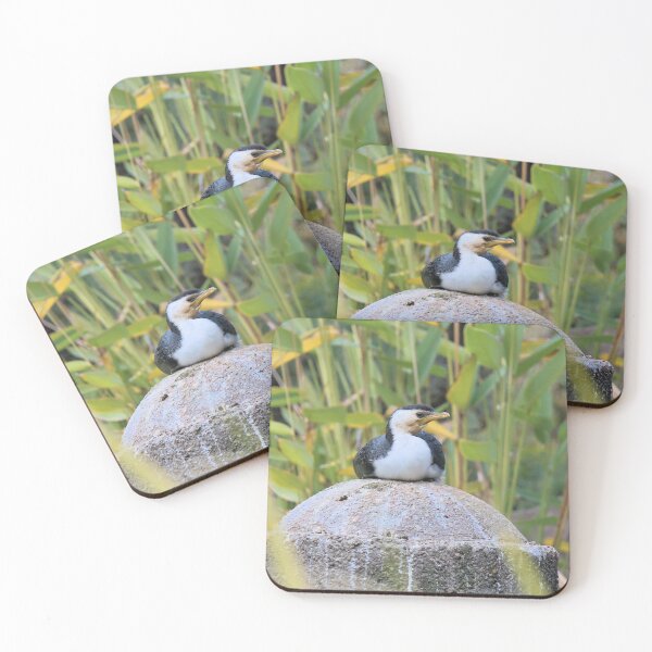 Item preview, The Little Pied Cormorant; Sitting & Watching designed and sold by Cissa King Photography.